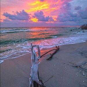 Meet your Posher, Carley